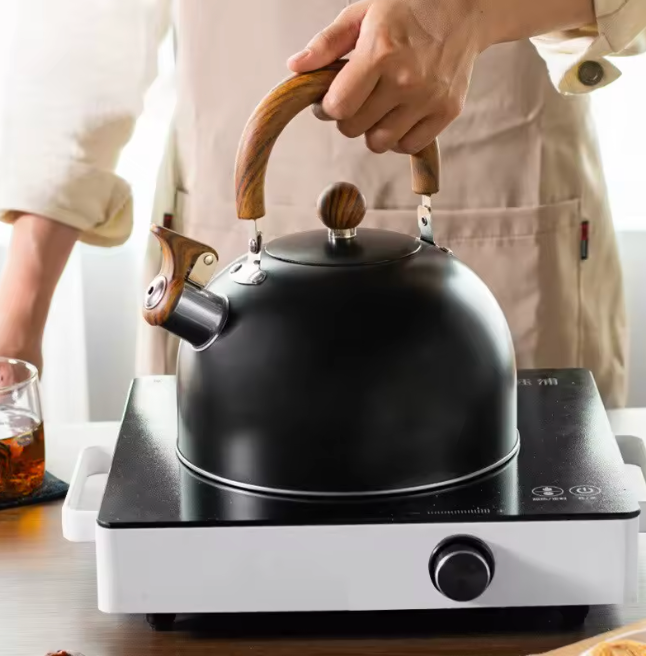 Stainless Steel Kettle