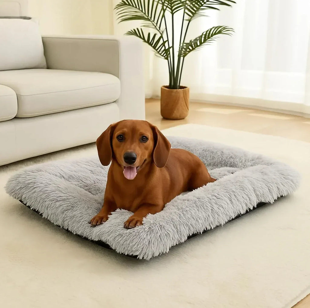 Soft Anti-Anxiety Dog Bed