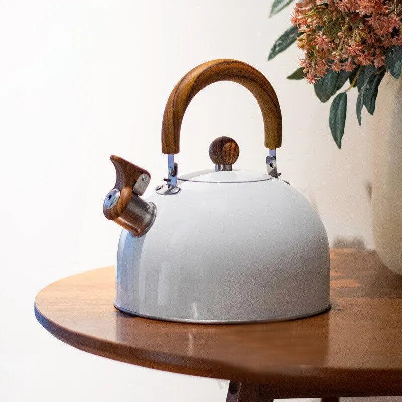 Stainless Steel Kettle