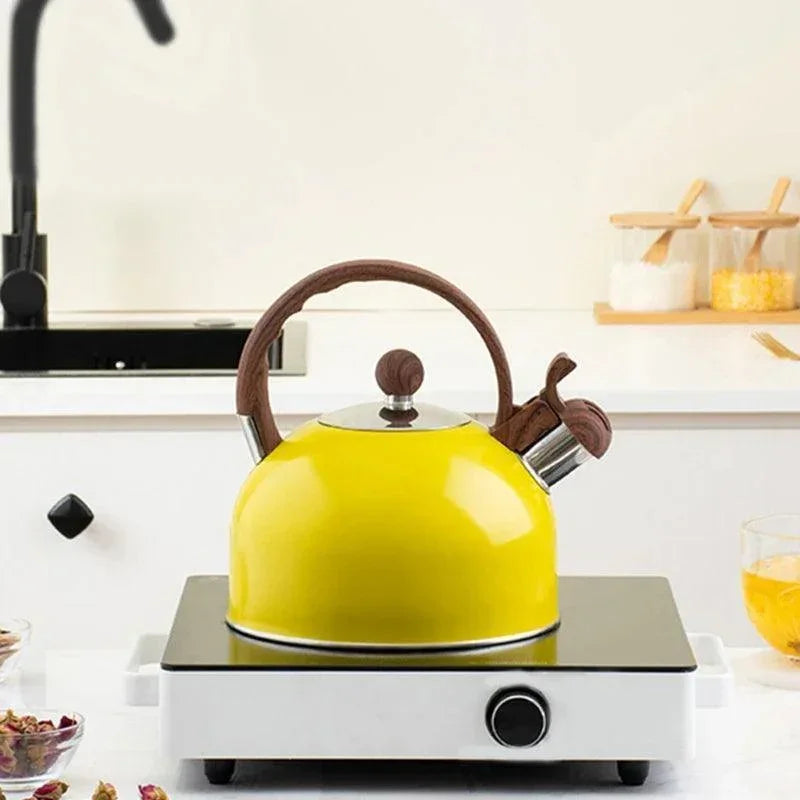 Stainless Steel Kettle