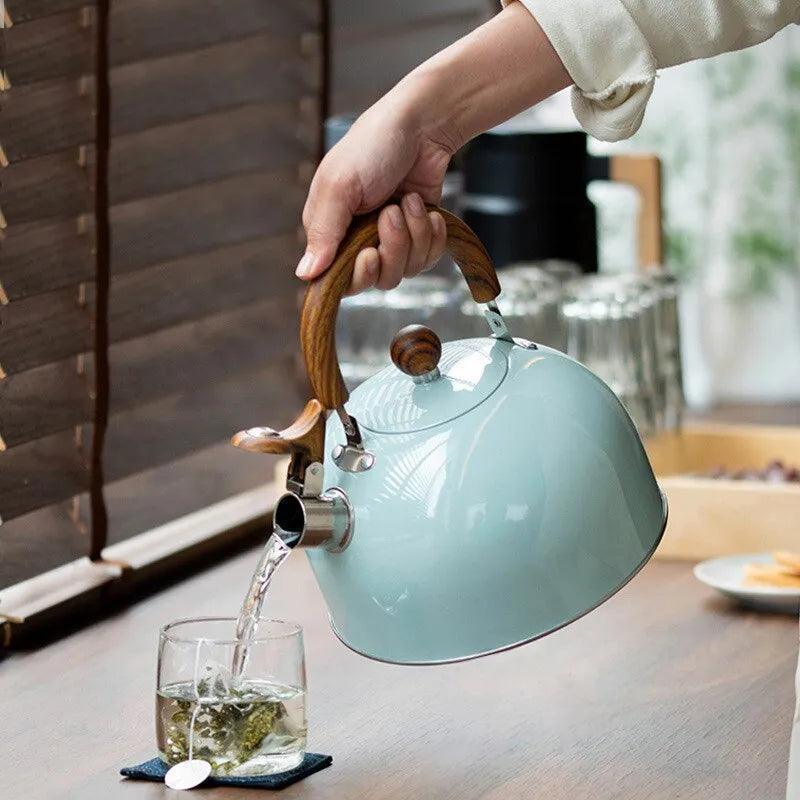 Stainless Steel Kettle