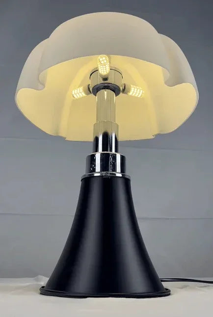 Aurora Nera Lamp