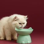 Elevated Cat Bowl